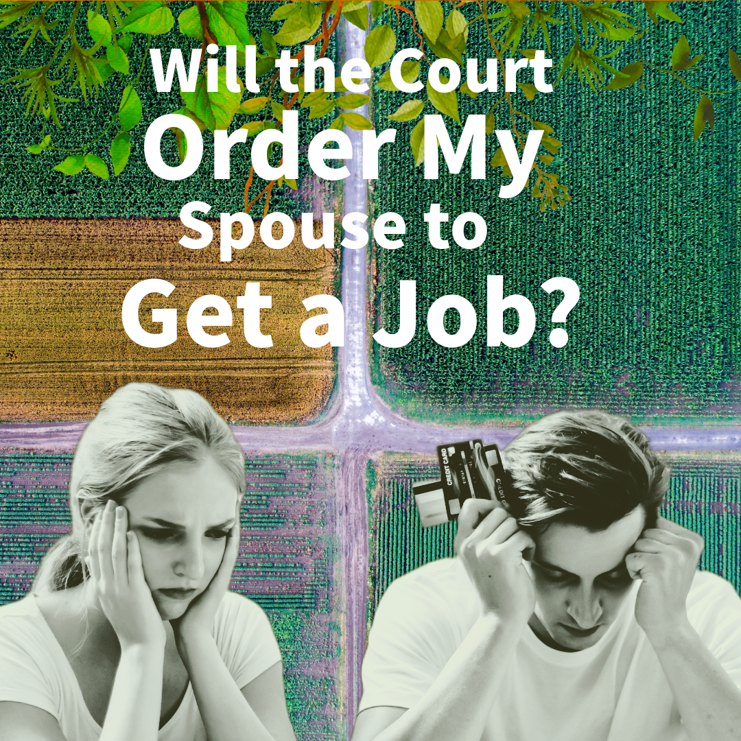 Will the Court Order My Spouse to Get a Job?